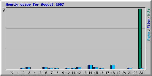 Hourly usage for August 2007