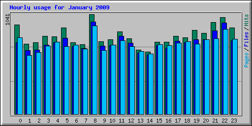 Hourly usage for January 2009