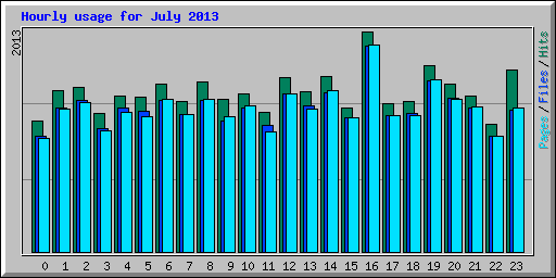Hourly usage for July 2013